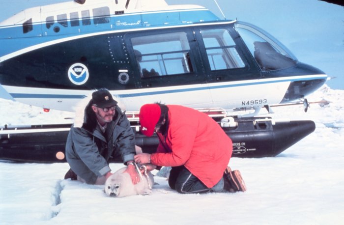 NOAA Arctic Rescue