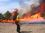 Maintaining a fire-adapted landscape