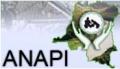 ANAPI Logo (Anapi Images)