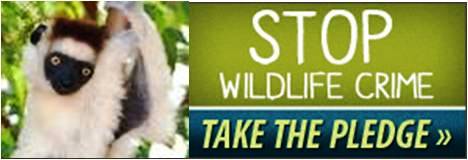 Stop Wildlife Crime