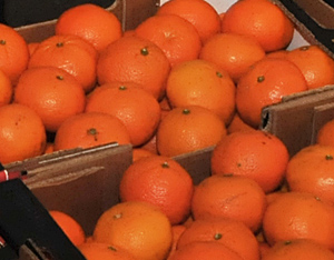 Foto de naranjas