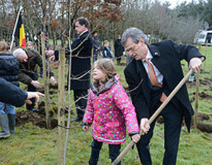 Plantation d'arbres à Bastogne