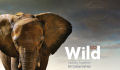 eJournal USA: Go Wild! Coming Together for Conservation 