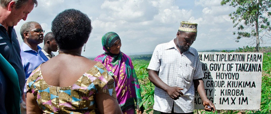 Smallholder Farmers Go Commercial in Tanzania