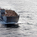 <p>U.S. Navy Landing Craft Utility 1648, carrying U.S. Marines and Japanese soldiers, prepares to embark aboard the amphibious assault ship USS Boxer (LHD 4), not shown, off the coast of California Feb. 7, 2013, during exercise Iron Fist 2013. Iron Fist is a three-week bilateral training event held annually between the U.S. Marine Corps and the Japan Ground Self-Defense Force designed to increase interoperability between the two services while aiding the Japanese in their continued development of amphibious capabilities. (U.S. Navy photo by Mass Communication Specialist 3rd Class Christopher B. Janik/Released)</p>