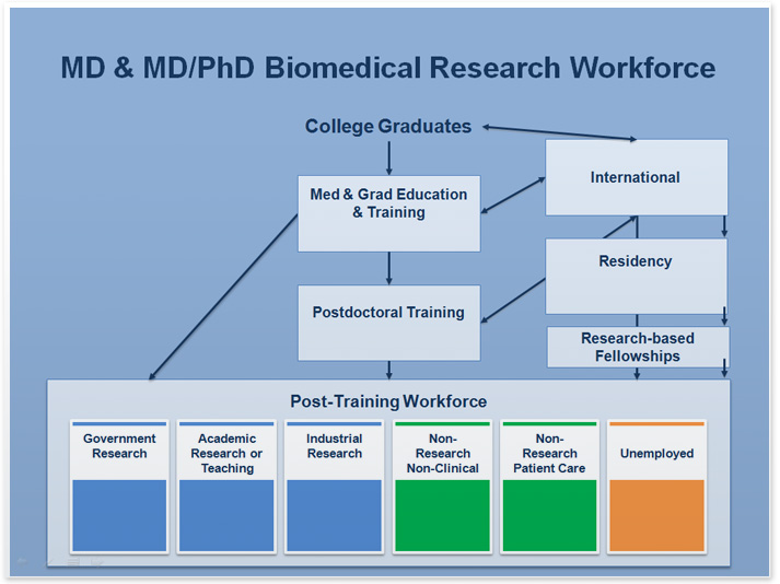 Figure 20: Conceptual Framework of the MD and MD-PhD Workforce