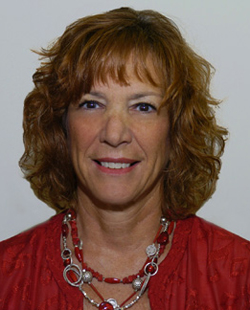 Photo of Lynne A. McFarland, CIGIE Vice-Chair