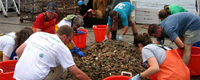 sorting fish