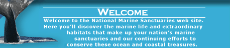 Welcome to the National Marine Sanctuaries web site. Here you'll discover the marine life and extraordinary habitats that make up your nation's marine sanctuaries and our continuing efforts to conserve these ocean and coastal treasures.