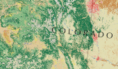 This is a full-scale image of a portion of the Land Cover map. It also links to a reduced scale rendition of 
            the map.
