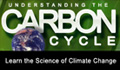 Understanding the Carbon Cycle