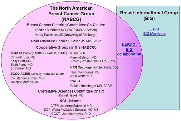 The North American Breast Cancer Group (NABCG) Cooperative Groups and their members