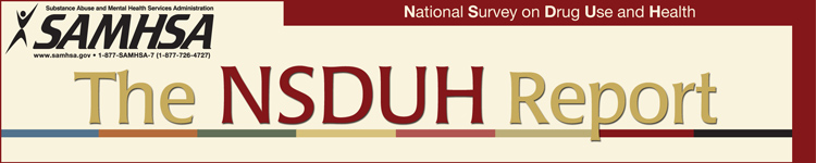 Banner image for National Survey on Drug Use and Health (NSDUH) Report