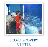 Eco-Discovery Center