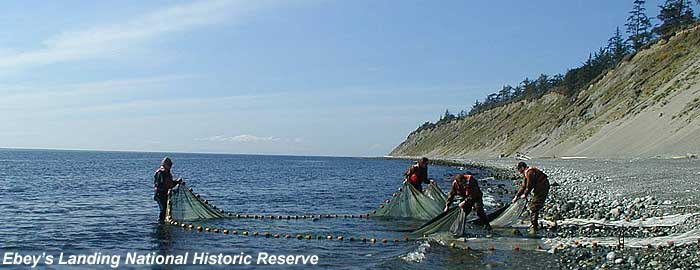 Fish biologists netting fish at Ebey's Landing National Historic Reserve