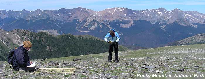 NPS biologists at an alpine vegetation sampling plot in Rocky Mountain National Park