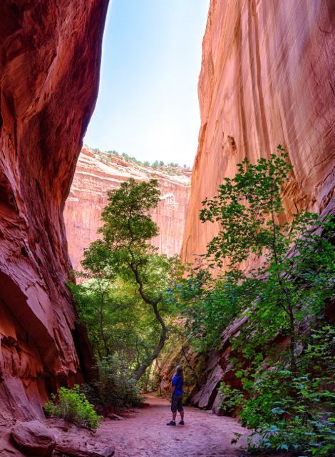 One of the most #spectacular areas managed by the Bureau of Land Management (BLM) has to be the Grand Staircase Escalante National Monument in Utah, which spans nearly 1.9 million acres of America’s public lands. From its awe-inspiring Grand Staircase of cliffs and terraces, across the rugged Kaiparowits Plateau, to the wonders of the Escalante River Canyons, the Monument’s size, resources, and remote character provide extraordinary opportunities for geologists, paleontologists, archeologists, historians, and biologists in scientific research, education, and exploration.Photo: Bob Wick, BLM