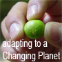 Adapting to a Changing Planet