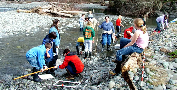 Bay-Watershed Education Training
