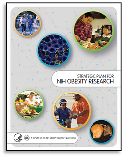 The Strategic Plan for NIH Obesity Research
