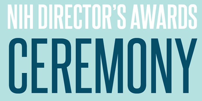 Directors Awards Banner