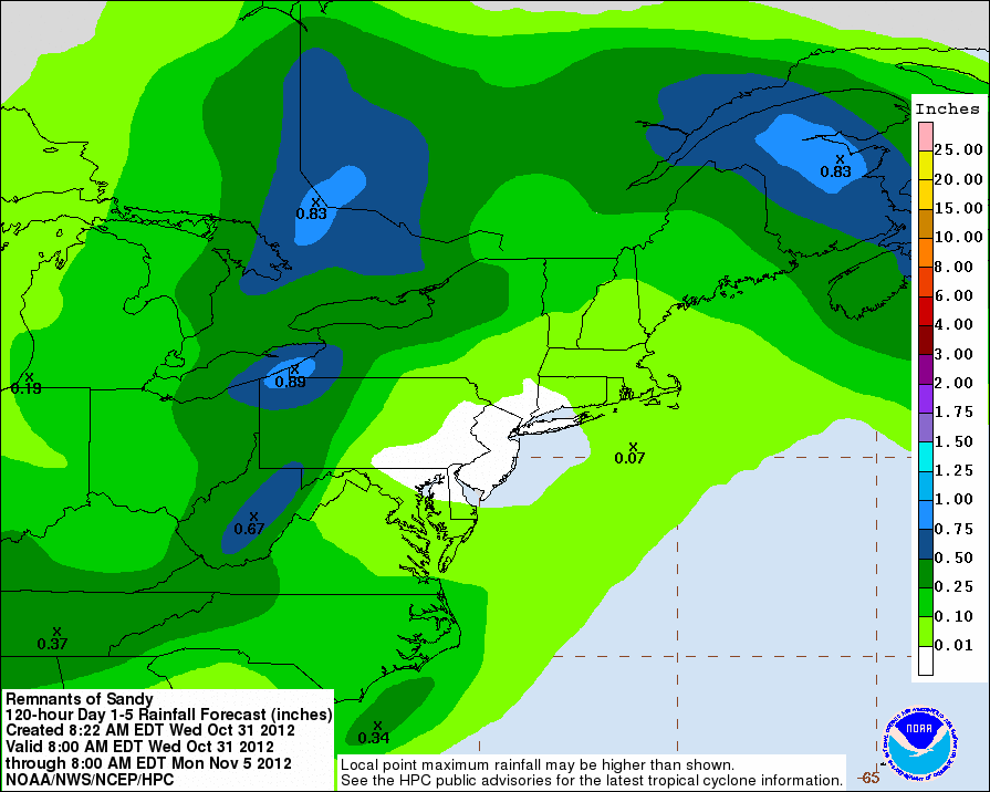 rainfall forecast