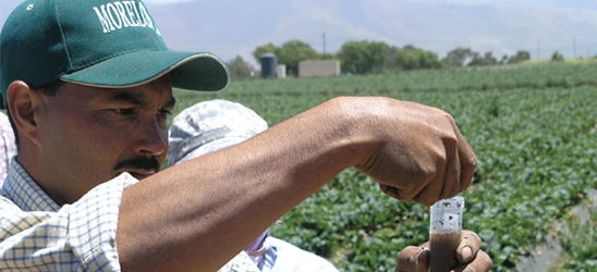 Farmworker testing soil samples