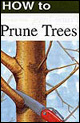 How to Prune Trees cover