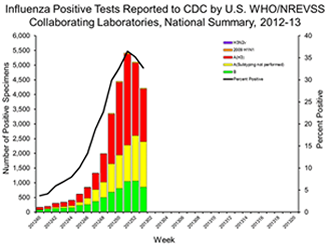 Influenza Positive Tests Reported to CDC by U.S. WHO/NREVSS Collaborating Laboratories, National Summary, 2012-13