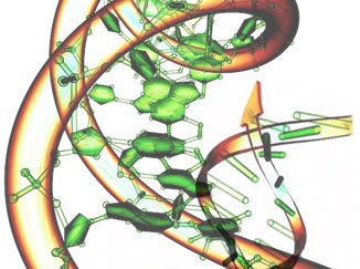 Genome illustration