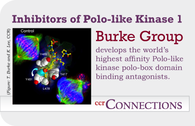 Graphic: Burke Group develops the world's highest affinity Polo-like kinase polo-box domain binding antagonists