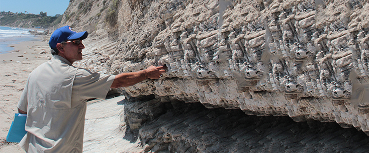 A senior geologist examines rock formations on the California beach where natural oil seeps have occurred for centuries.