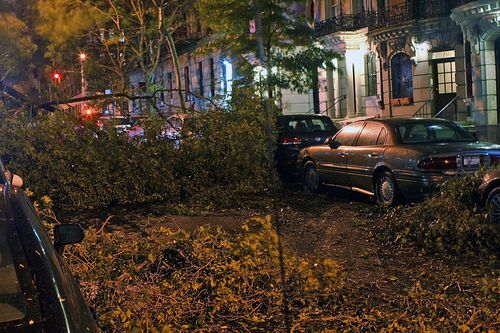 Trees down in NYC