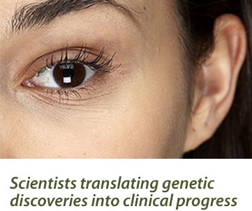 Scientists translating genetic discoveries into clinical progress