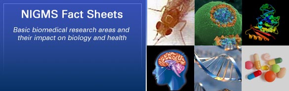 NIGMS Fact Sheets: Basic biomedical research areas and their impact on biology and health