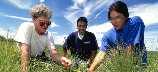 Student working in the field