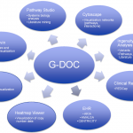 G-DOC chart