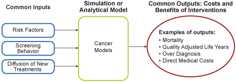 General formulation of CISNET models