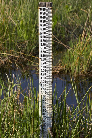 In the United States, a sea level rise of one foot could eliminate 17 to 43 percent of today’s wetlands.