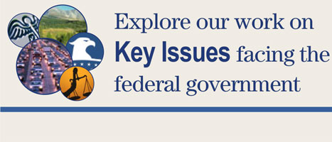 Key Issues Banner