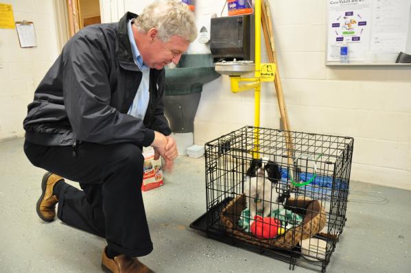FEMA Deputy Administrator Richard Serino checks on the pets that are part of a shelter in Connecticut.