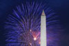 image of Fireworks exploding over the Washington Monument