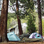 Tents set up in Camp 4, Yosemite Valley
