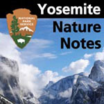 Yosemite Nature Notes Logo