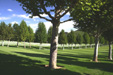 Cemetery view