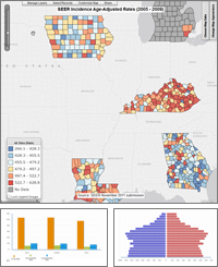 Screenshot of SEER Geoviewer Output