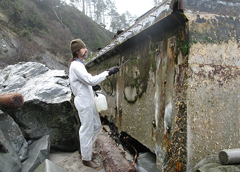 A worker decontaminates the Japanese dock on a Washington coast beach.