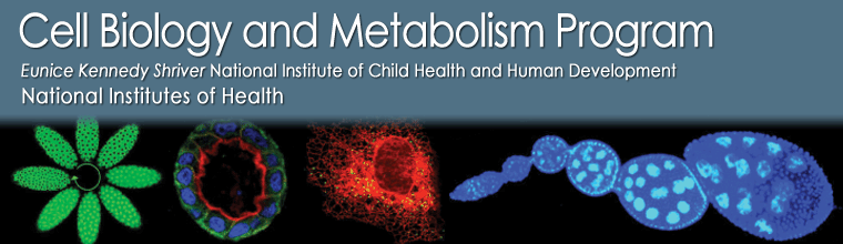 Cell Biology and Metabolism Program Home Page