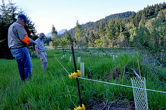 Ed Merzenich shows Lynn Larsen, NRCS District Conservationist, part of an area restored via WHIP.