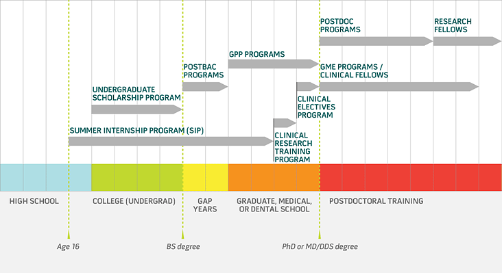 Visual guide to NIH training programs